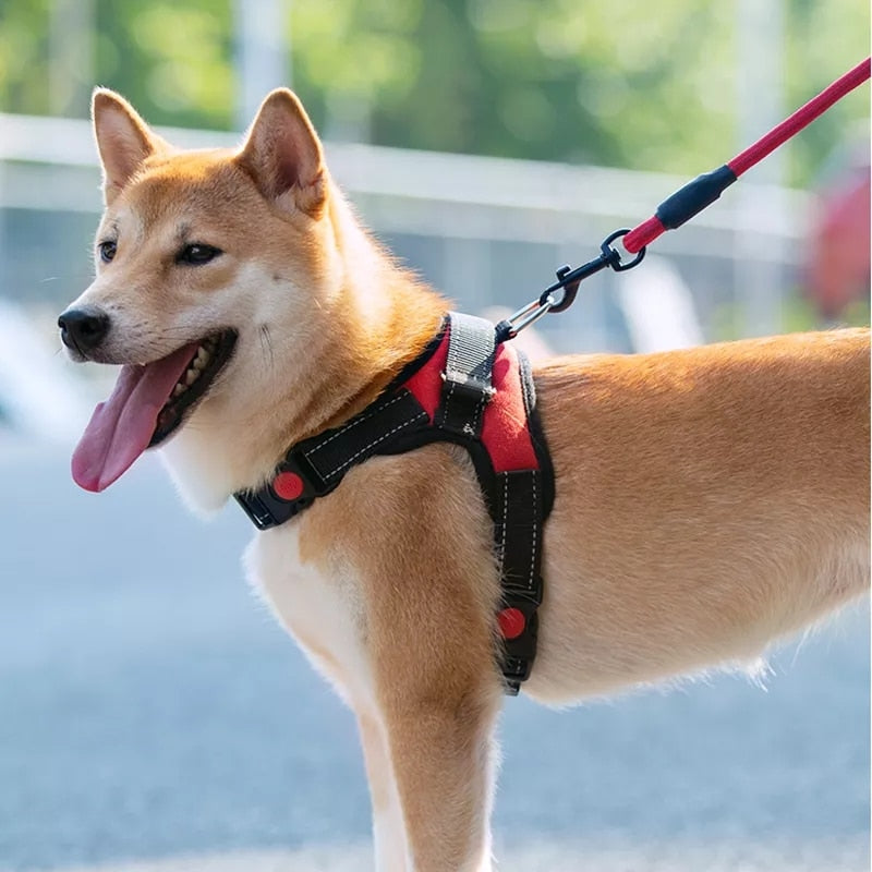 Adjustable Harness with Reflective and Breathable Vest