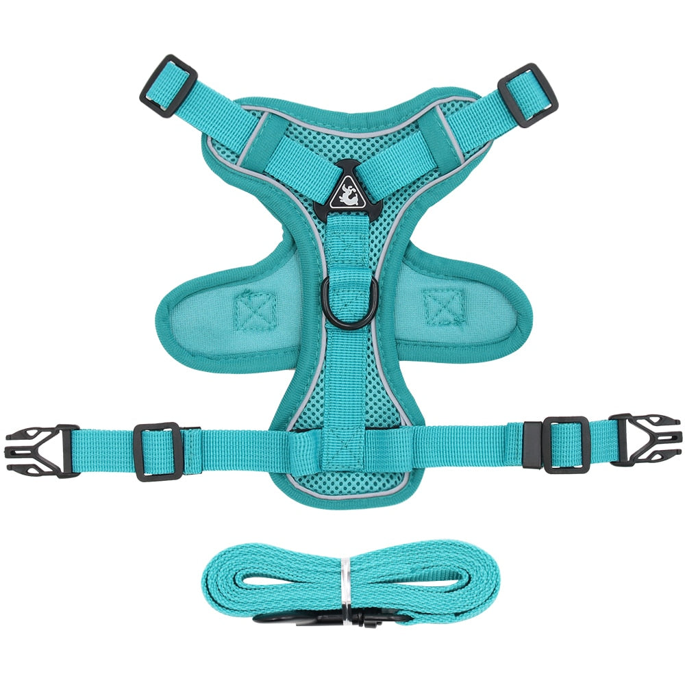 Dog Harness with 1.5m Traction Leash Set