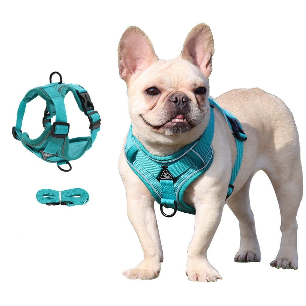 Dog Harness with 1.5m Traction Leash Set