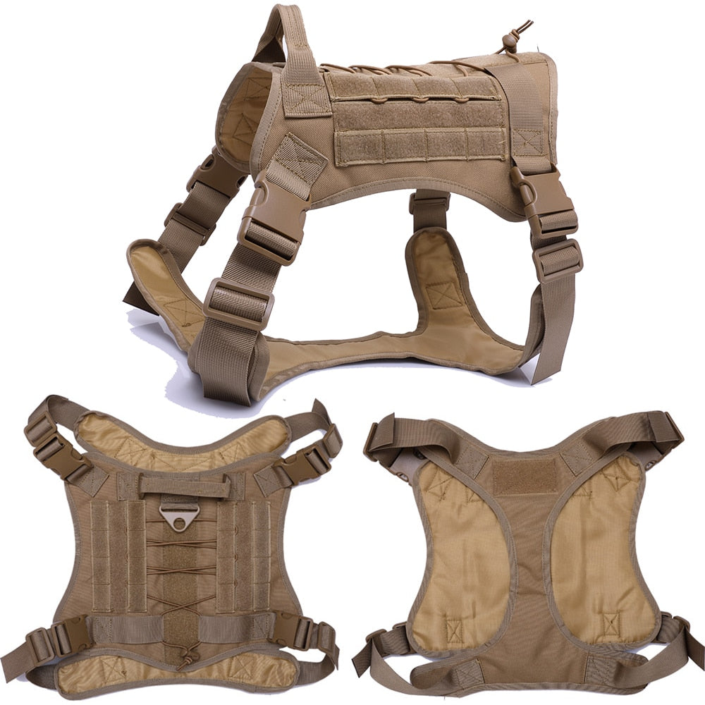 Tactical Training Harness And Leash Set