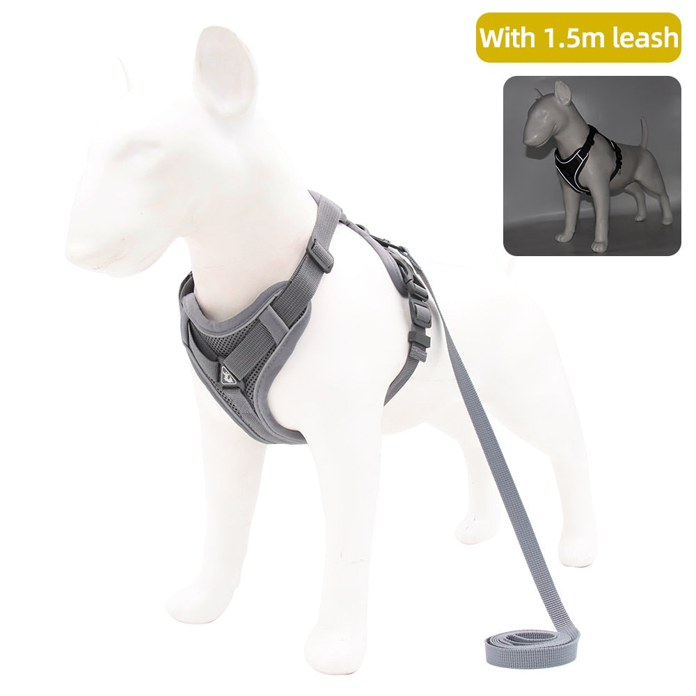 Dog Harness with 1.5m Traction Leash Set