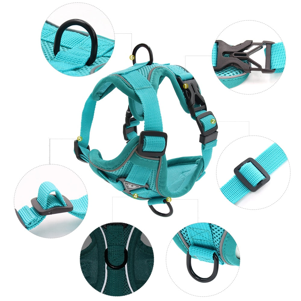 Escape Proof Breathable Cat Harness and Leash