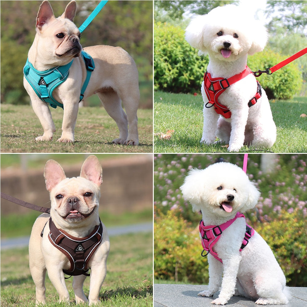 Dog Harness with 1.5m Traction Leash Set