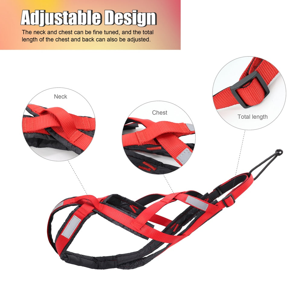 Weight Pulling Sledding Harness