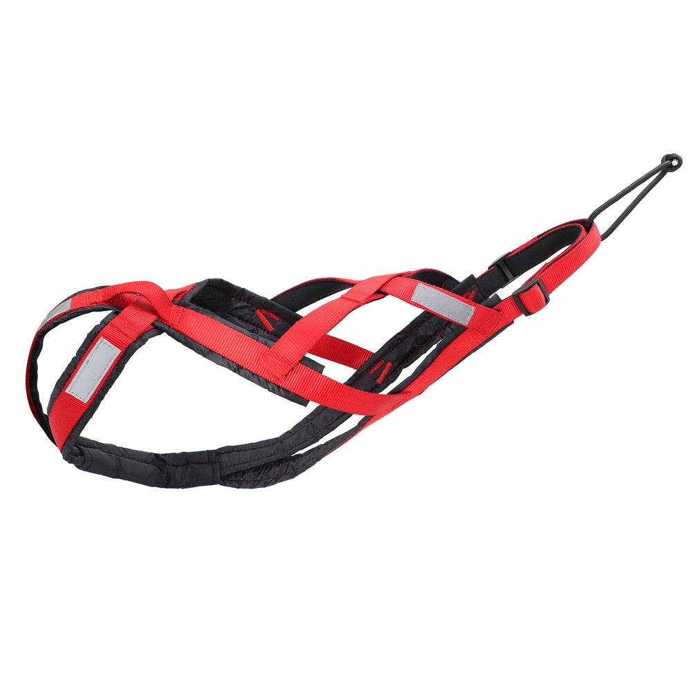 Weight Pulling Sledding Harness