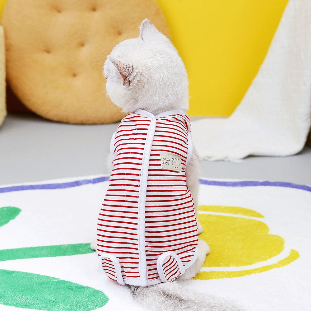 Cat Surgery Recovery Suit
