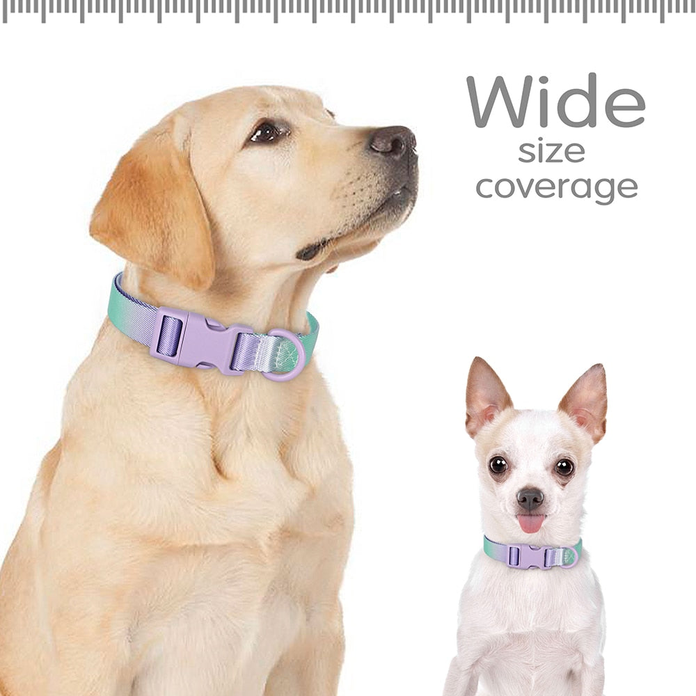 Premium Adjustable Nylon Dog Collar