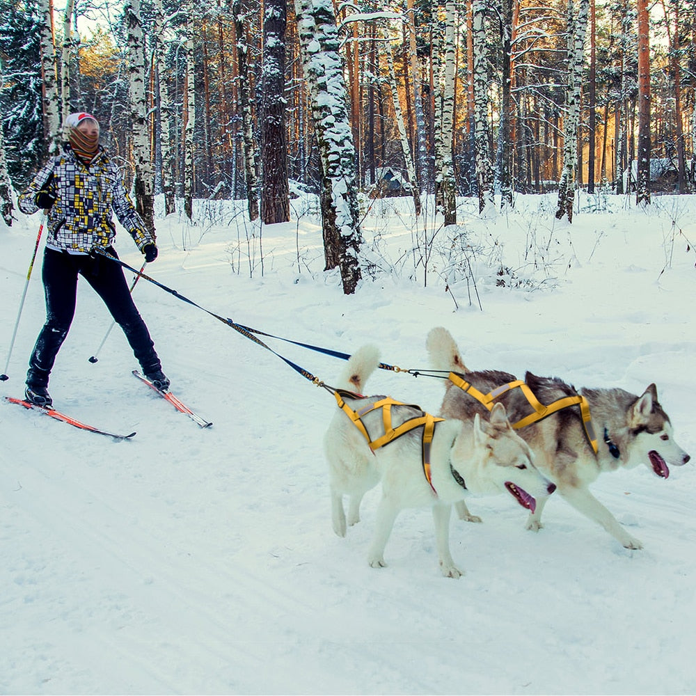 Weight Pulling Sledding Harness