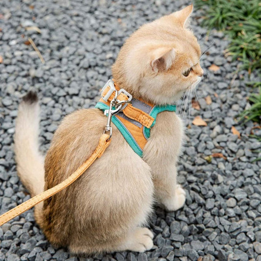 Cat Vest Pug Leashes Walking Tools