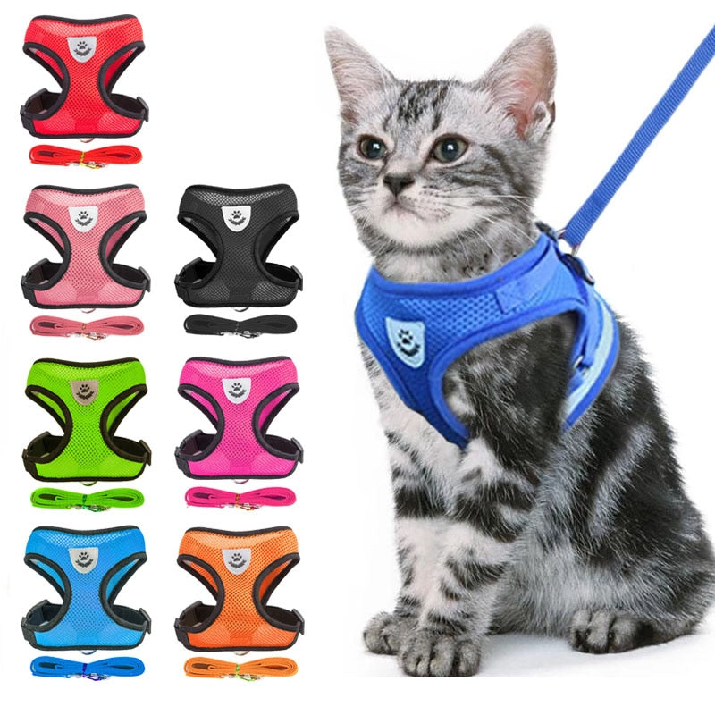Anti-Escape Cat Collar For Cats