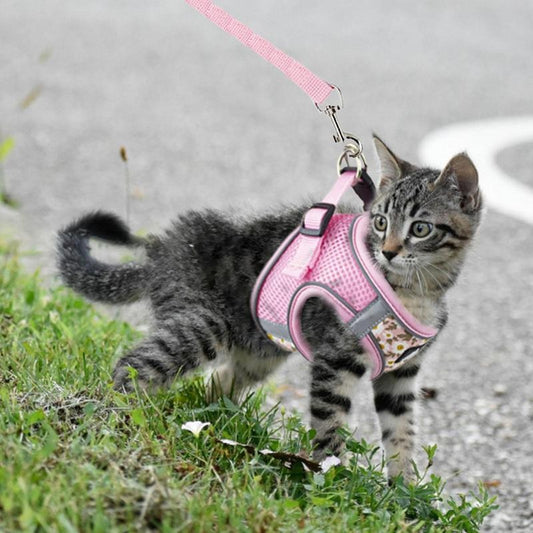 Harness Cat Chest Strap