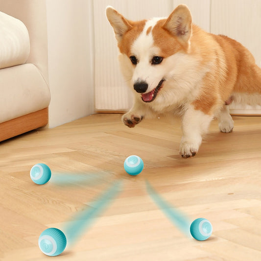 Electric  Auto Rolling Ball For Dog